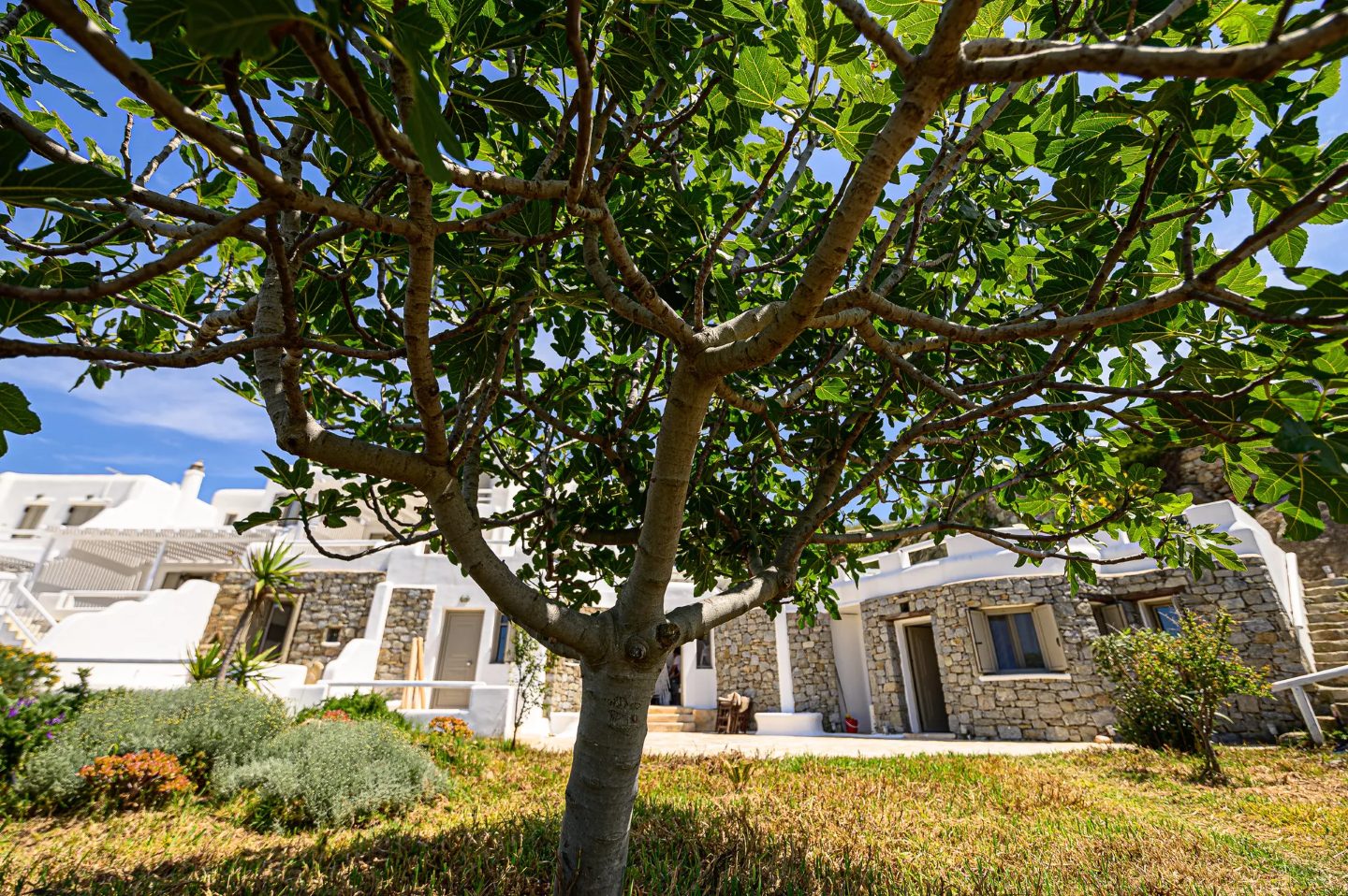 Villa Harmony Mykonos - 4 bedroom villa with private pool, Greece