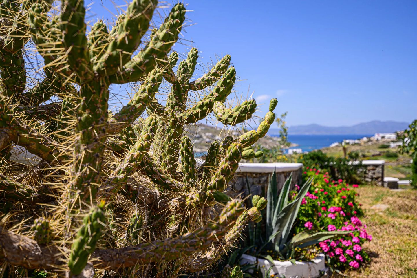 Villa Harmony Mykonos - 4 bedroom villa with private pool, Greece