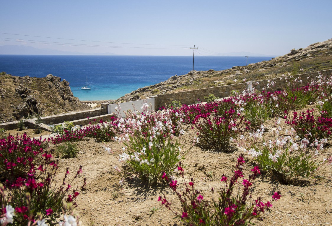 Villa Selene II | Luxury Villa on Mykonos with Pool, Jacuzzi